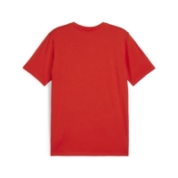 Футболка PUMA teamGOAL Casuals Tee (SS24) 65861501 - вид 1 миниатюра