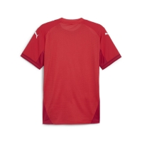Футболка PUMA teamFINAL Jersey (SS24) 70573701 - вид 1 миниатюра