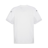 Футболка PUMA teamFINAL Jersey (SS24) 70573704 - вид 1 миниатюра