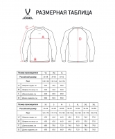 Футболка компрессионная утепленная JOGEL Camp PerFormDRY Baselaer Top Warm, черный цб-00004060 ЦБ-00004060 - вид 1 миниатюра