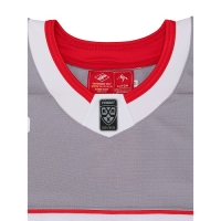 Свитер игровой серый (2024/25) H1GCL41020с - вид 2 миниатюра