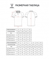 Поло JOGEL CAMP 2 CVC Polo CZ, синий цб-00004391 ЦБ-00004391 - вид 1 миниатюра