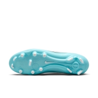 Бутсы NIKE LEGEND 10 ACADEMY FG/MG DV4337-401 - вид 1 миниатюра