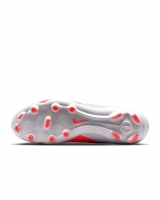 Бутсы NIKE LEGEND 10 ACADEMY FG/MG DV4337-800 - вид 1 миниатюра