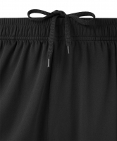 Шорты парадные Jogel PREMIER PerFormDRY Woven Shorts, черный 99 цб-00004925 ЦБ-00004925 - вид 4 миниатюра