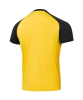 Футболка игровая JOGEL CAMP Reglan Jersey, желтый 61 цб-00004642 ЦБ-00004642 - вид 3 миниатюра