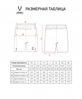 Шорты тренировочные с карманами Jogel PREMIER PerFormDRY Training Shorts, темно-синий Z5 цб-00004905 ЦБ-00004905 - вид 1 миниатюра