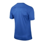 Футболка NIKE STRIPED SEGMENT III JSY SS (SP17) 832976-455 - вид 1 миниатюра