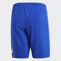 Шорты ADIDAS CONDIVO18 SHO (SS18) CF0723 - вид 1 миниатюра