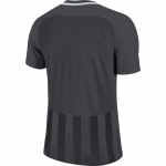 Футболка NIKE STRP DVSN III JSY SS (SP18) 894081-060 - вид 1 миниатюра