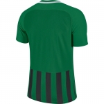 Футболка NIKE STRP DVSN III JSY SS (SP18) 894081-302 - вид 1 миниатюра