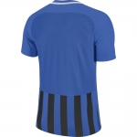 Футболка NIKE STRP DVSN III JSY SS (SP18) 894081-463 - вид 1 миниатюра