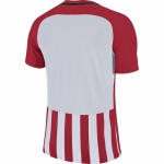 Футболка NIKE STRIPED DIVISION III JSY SS SR 894081-658 - вид 1 миниатюра