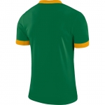 Футболка NIKE DRY PRK DRBY II JSY SS (SP18) 894312-302 - вид 1 миниатюра