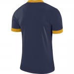 Футболка NIKE DRY PRK DRBY II JSY SS (SP18) 894312-410 - вид 1 миниатюра